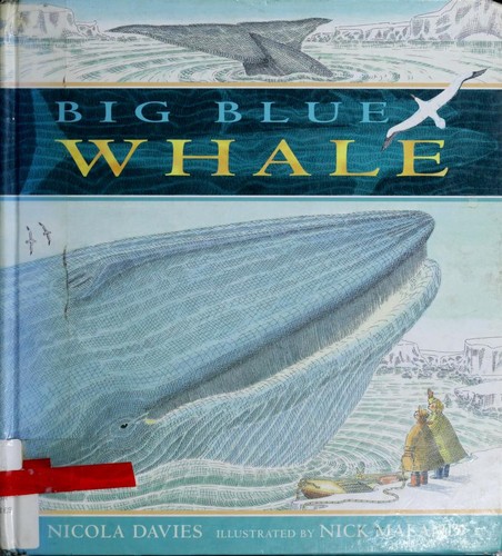 Big blue whale book cover