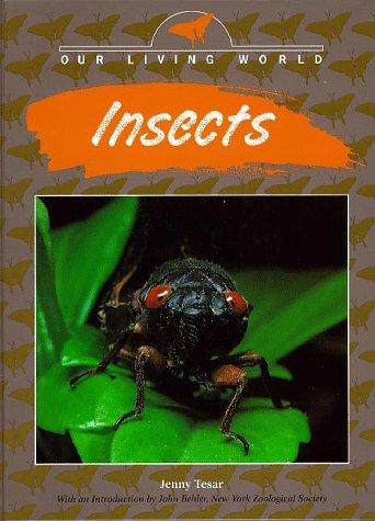 Insects book cover