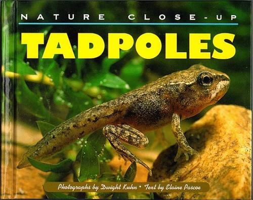 Tadpoles book cover
