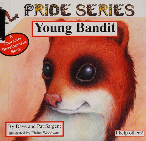Young Bandit book cover