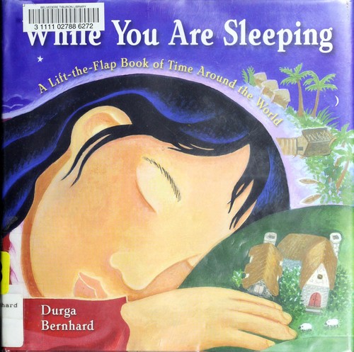 While You Are Sleeping book cover