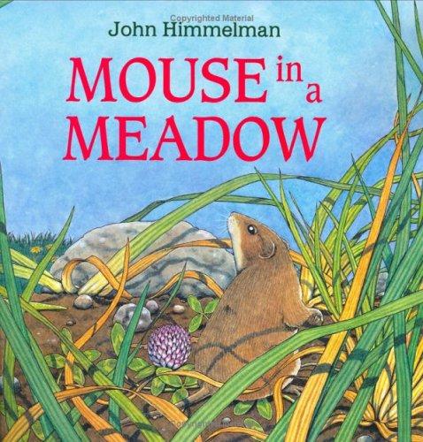 Mouse in a Meadow book cover