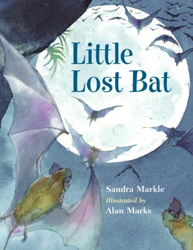 Little lost bat book cover