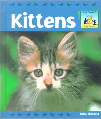 Kittens book cover