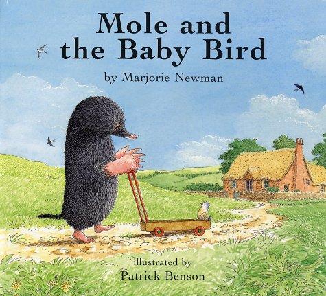 Mole and the baby bird book cover