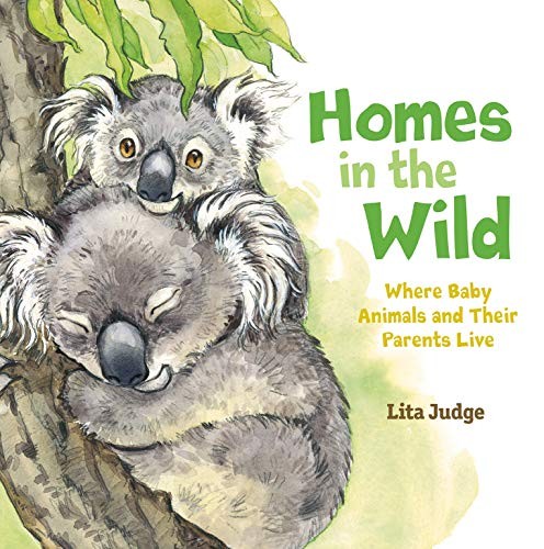 Homes in the Wild book cover