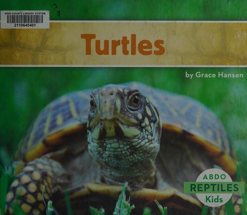Turtles book cover