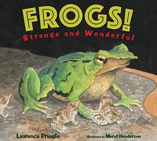 Frogs! book cover