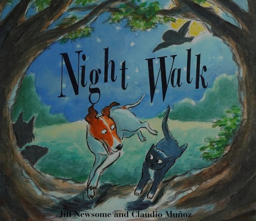 Night walk book cover