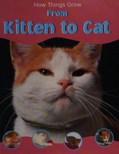 From kitten to cat book cover