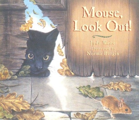 Mouse, look out! book cover